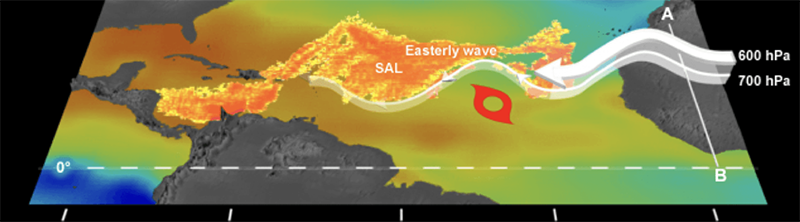African Easterly Jet Along SAL