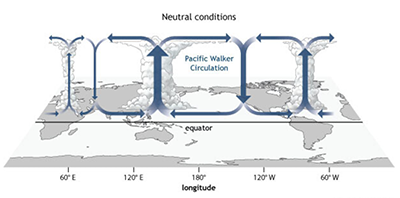 Walker Circulation neutral