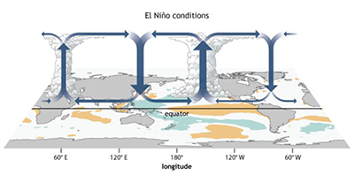 El Niño conditions